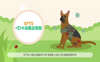 진드기매개감염병 홍보용 동영상 (군부대용)