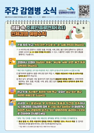 8주_생활 속 조류인플루엔자(AI) 인체감염 예방수칙
