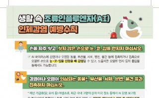 생활 속 조류인플루엔자(AI) 인체감염 예방수칙
