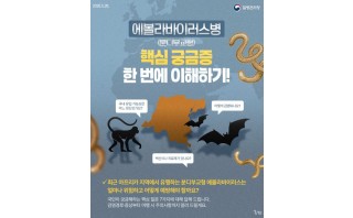 에볼라바이러스병(분디부교형) 핵심 궁금증 한 번에 이해하기!