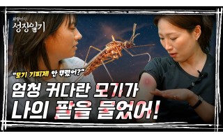  [성장일기] 5부. 엄청 커다란 모기가..